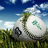 photo balles de baseball 004