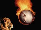 photo balles de baseball 008